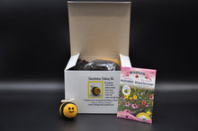 Load image into Gallery viewer, Bumble Bee Needle Felting Kit