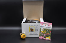 Load image into Gallery viewer, Bumble Bee Needle Felting Kit
